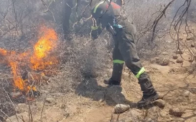 En Celaya hubo 1,172 incendios en 4 Meses