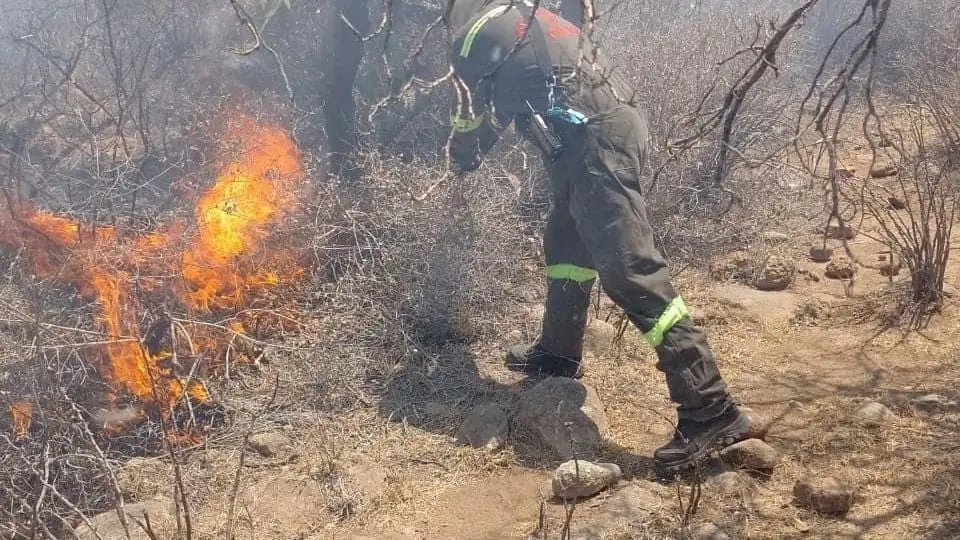 En Celaya hubo 1,172 incendios en 4 Meses